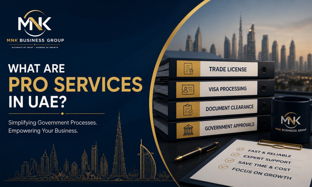 What Are PRO Services in UAE